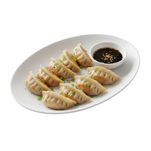 Beef Dumplings